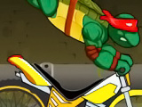 Ninja Turtle Bike